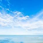 Sidra Naqvi Profile Picture